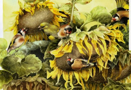 SUNFLOWER FEAST - marjolien, feast, sunflower, bastin