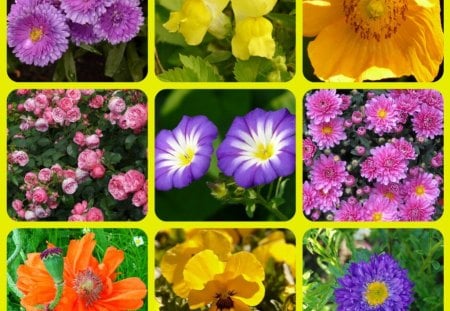 FLOWERS - collage, pretty, abstract, flowers