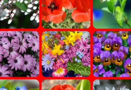 FLOWERS - collage, pretty, abstract, flowers