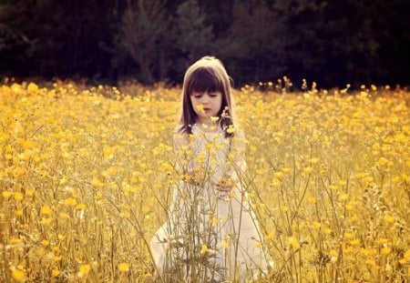 Between a flower field - child, field, girl, flower