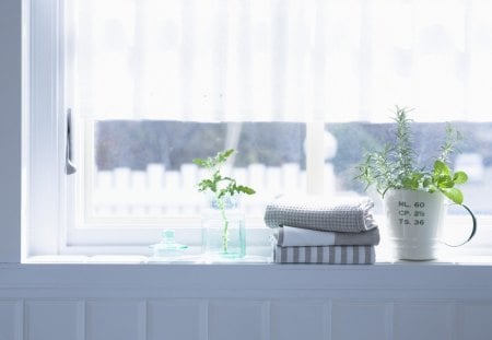 Bright window - window, room, morning, interior, precious, flowers, fresh, green, plants, apartment, towels