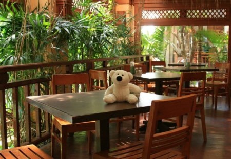 Sweet Welcome - veranda, travel, bear, wallpaper, hotel, welcome, thailand, interior design, holiday, sweet, teddy