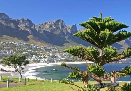 Beach At Capetown.