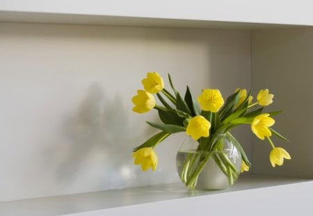 ~ Graceful tulips ~ - special, fresh, tulips, water, grace, cut, precious, yellow, a vase, green, shelf, flowers