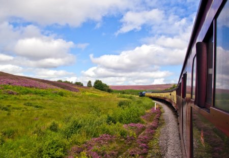 Landscape - beauty, sky, landscape, peaceful, field, lovely, nature, train, view, clouds, beautiful, green, splendor, colors, flowers, grass