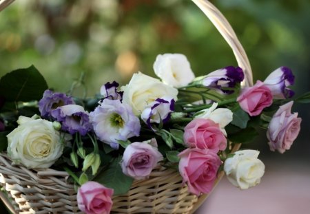 Basket of flowers - roses, gift, beautiful, tenderness, flowers, basket