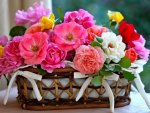 A Basket Of Bloom