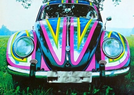 Volkswagen 1969 - magic, beautiful, kaefer, beauty, colors, oldtimer, metal, vw, car, volkswagen, 1969