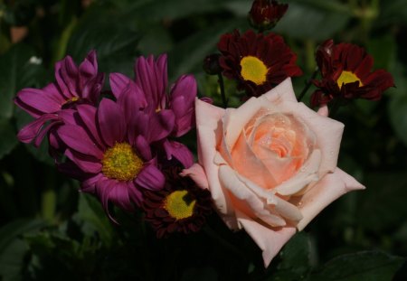 Summer Bouquet 4 - nature, wild, bouquet, summer, rose