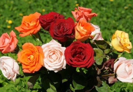 Bouquet of Roses - roses, summer, bouquet, white, nature, yellow, pink, red, flowers