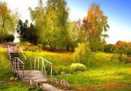 Nature walk - stairs, nice, autumn, sky, trees, greenery, meadow, pleasant, pretty, walk, green, grass, bridge, foels, summer, lovely, nature, beautiful, steps