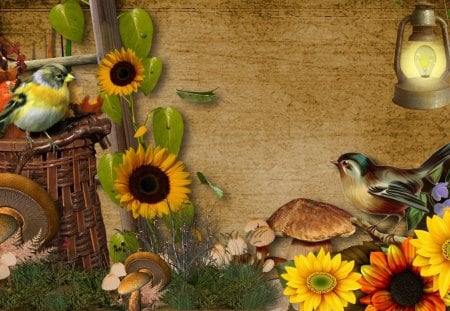 Beginning of Harvest - sunflowers, birds, brown, grass, lamp, light, leaves, flowers, daisies, gerbera, tan, gourds, fleurs, toad stools, fall, basket, season, vintage, autumn, mushrooms, late, harves, s apples