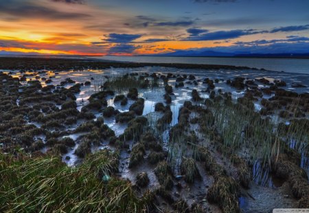 marsh at sunset - marsh, clouds, grass, sunset