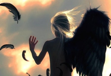 angel with one wing - entertainment, people, photography, beautiful, animation, fantasy, other