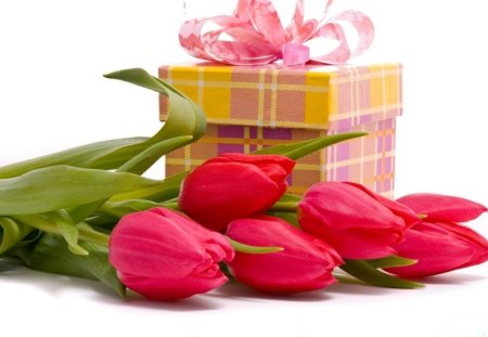 HAPPY BIRTHDAY TWINKS - flowers, celebrations, tulips, gifts, bows, friendship, ribbons