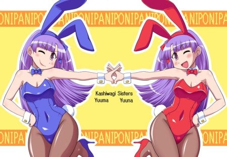 Pani poni dash(twins) - pani, dash, twins, poni