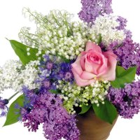 POSY OF LILACS