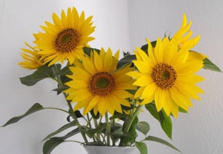 LITTLE MISS SUNSHINE - flowers, sunflowers, sunny, summer, simplicity, seasons, still life, vases