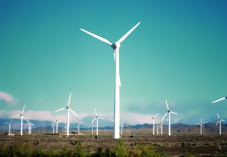 Wind Turbines Field - turbines, wind, nature, fields