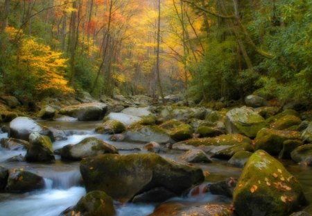 Autumn Falls - orange, waterfalls, yellow, rocks