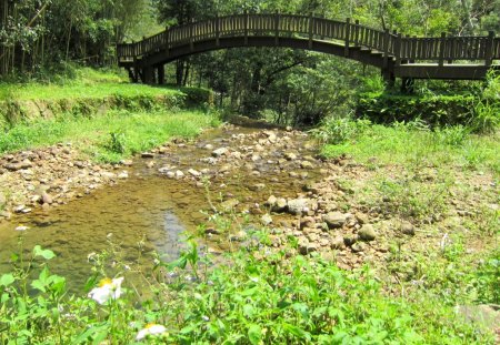 forests arch bridge - arch bridge, forests, grasses, wooden