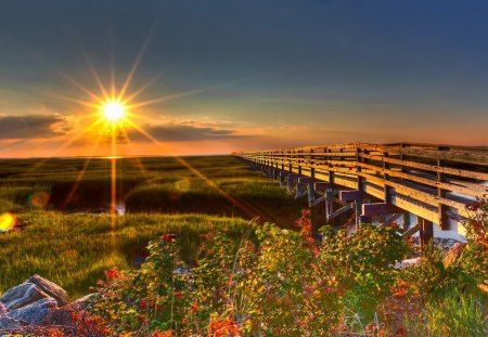 earths beautiful light - flowers, nature, photography, beauty, sun, sky