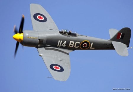 Hawker Sea Fury - sky, ww2, hawker, fighter, air force, war, fury, raf, sea