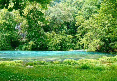 THINK GREEN - fresh, forest, wonderland, peaceful, river, green, wonderful, think green