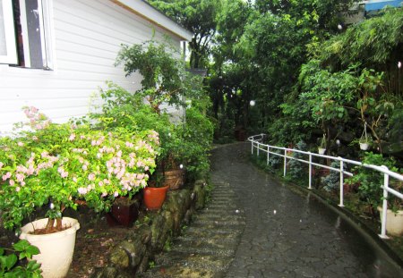 Hot Spring Villa trails - flowers, villa, trail, raining day, hot spring