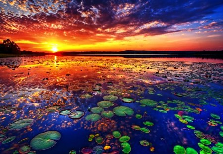 Lake of Lotos - sky, waterlily, sun, clouds, water, sunset