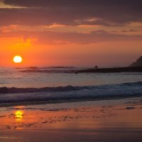 going surfing at sunset in santa cruz beach