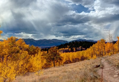 aspen trail - clouds, sunrays, aspens, mpuntains, forest