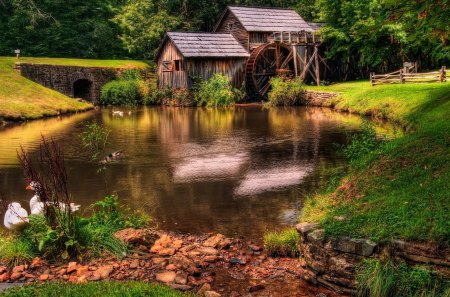 Cottage - water, reflection, cottage, bridge