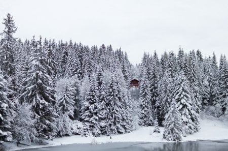 winter lake in switzerland - lake, forest, cabin, snow