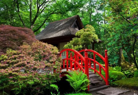 Japanese garden - pretty, calm, summer, bushes, stream, grass, forest, leaves, red, garden, nice, greenery, trees, water, beautiful, lovely, harmony, colorful, river, nature, green, peaceful, bridge, japanese