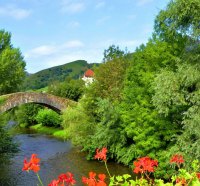 Bridge over the calm river