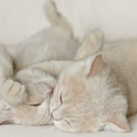 cute and naughty