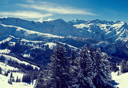 snowy mountains - snow, trees, mountains, nature