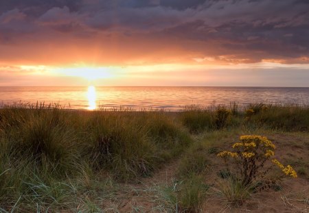 amazing beach in norfolk england - beach, clouds, sunset, grass, sea