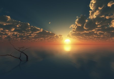 landmark in the sea - sunset, sea, dead tree, clouds