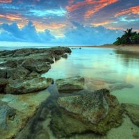 Beach Stones