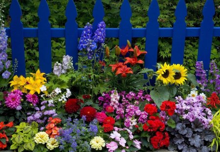 Garden - colrful, flowers, nature, garden