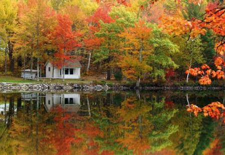 Lake - nature, lake, autumn, reflection, house