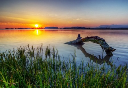 Loch Ness Monster - monster, loch, sunset, log, ness