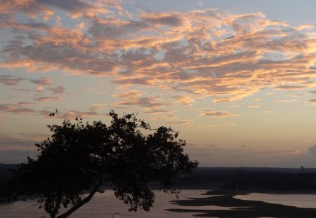 Sky at Dusk - sky, dusk, water, clouds, tree