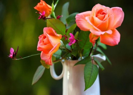 Happy September everyone - cream, white, roses, pink, flowers, pitcher, green