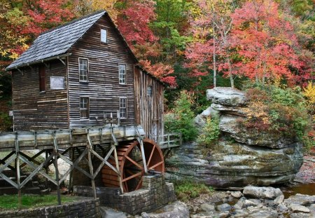 Mill - forest, nature, mill, old