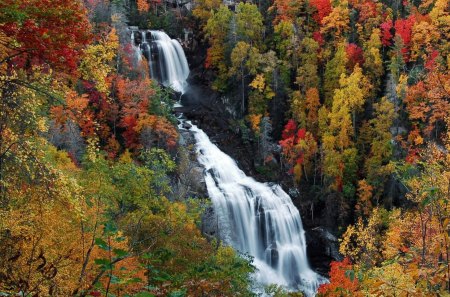 Waterfall - nature, autumn, trees, waterfall