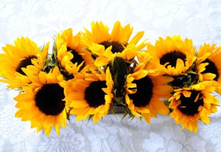 *** Bouquet of Sunflowers *** - flowers, sunflowers, nature, sun