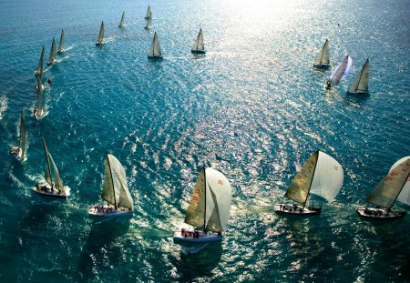 SUMMER SAILS - summer, ocean, sailing, sailboats